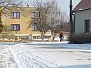 Třibřichy